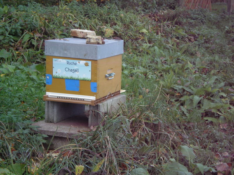 La ruche Chagall