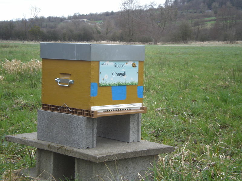 La ruche Chagall