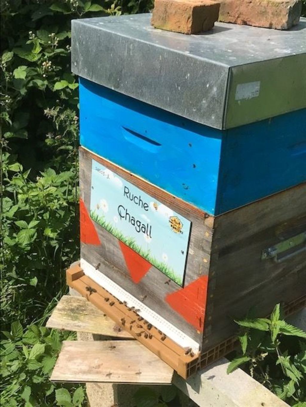 La ruche Chagall