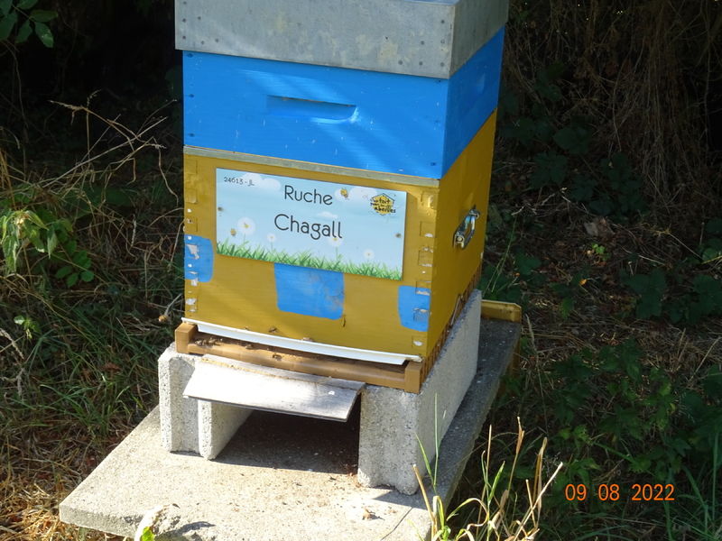 La ruche Chagall