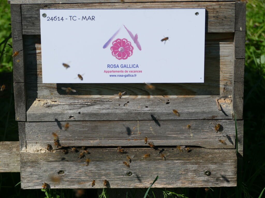 La ruche Rosa Gallica Sarl