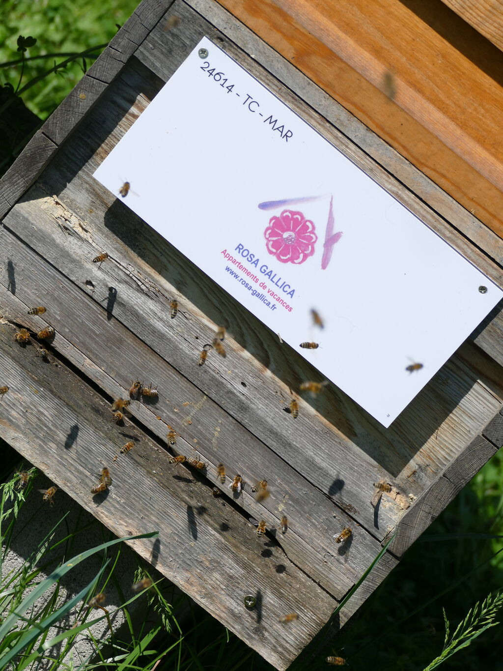 La ruche Rosa Gallica Sarl