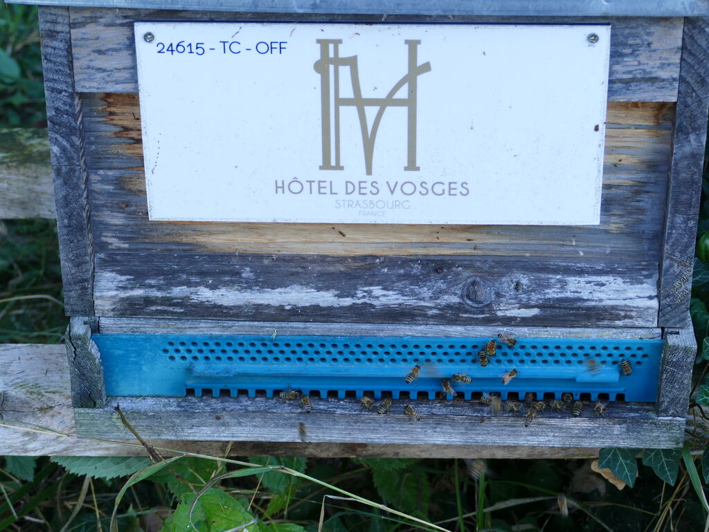 La ruche Hotel des vosges