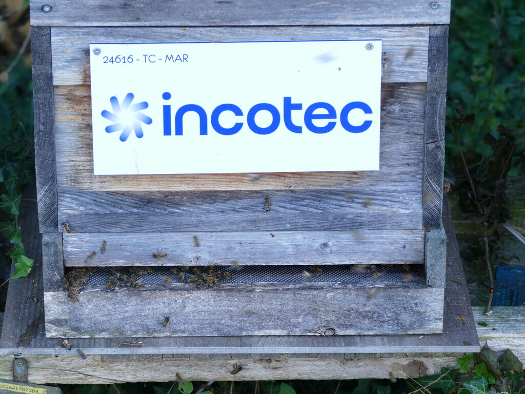 La ruche Incotec