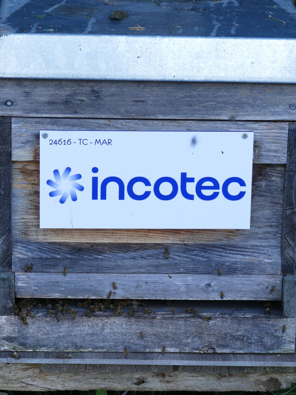 La ruche Incotec