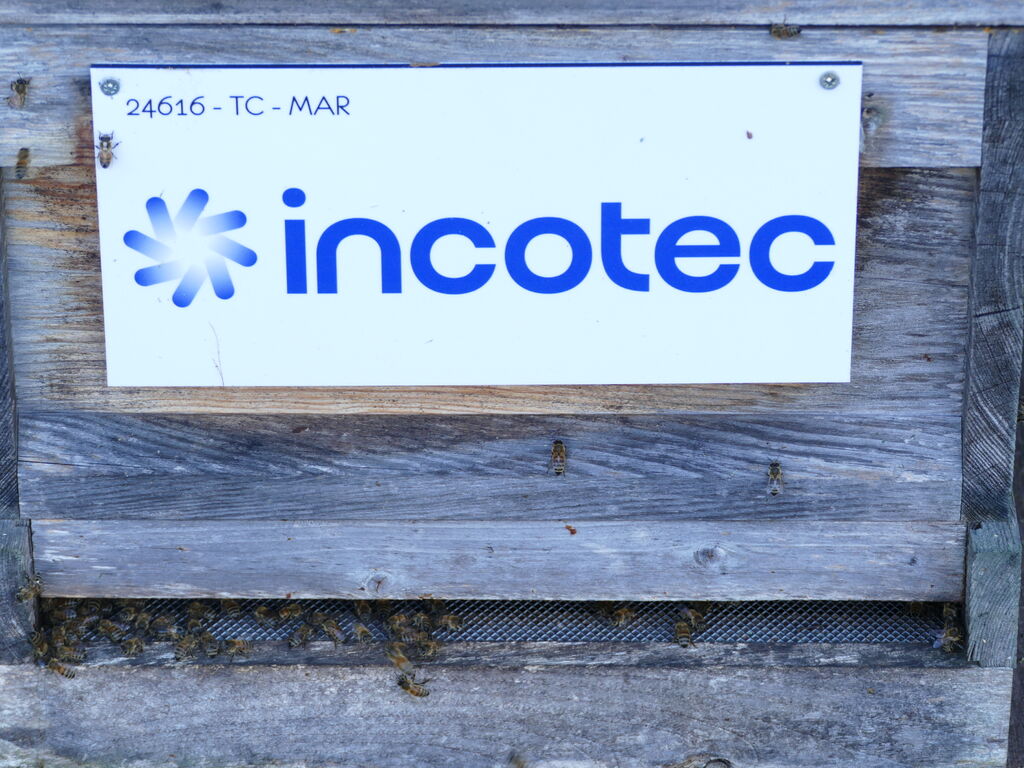 La ruche Incotec