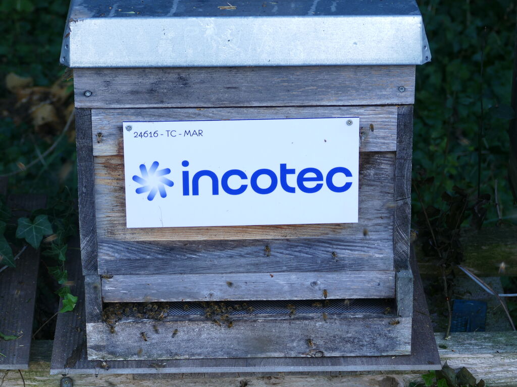 La ruche Incotec