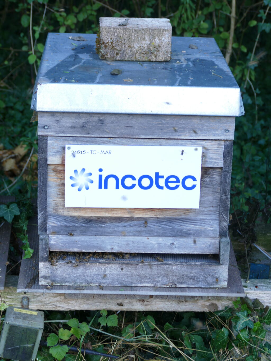 La ruche Incotec
