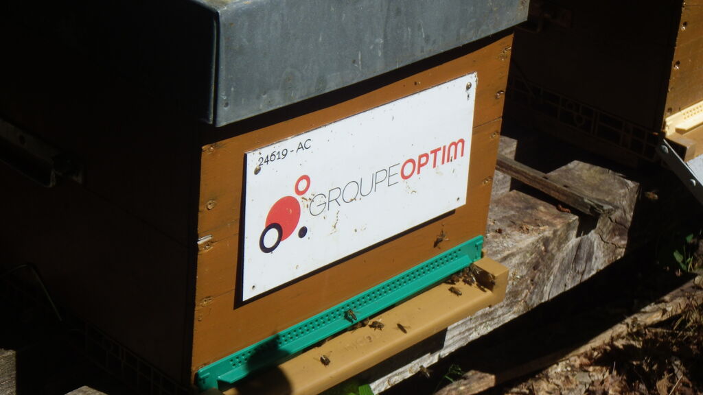 La ruche Groupe Optim 