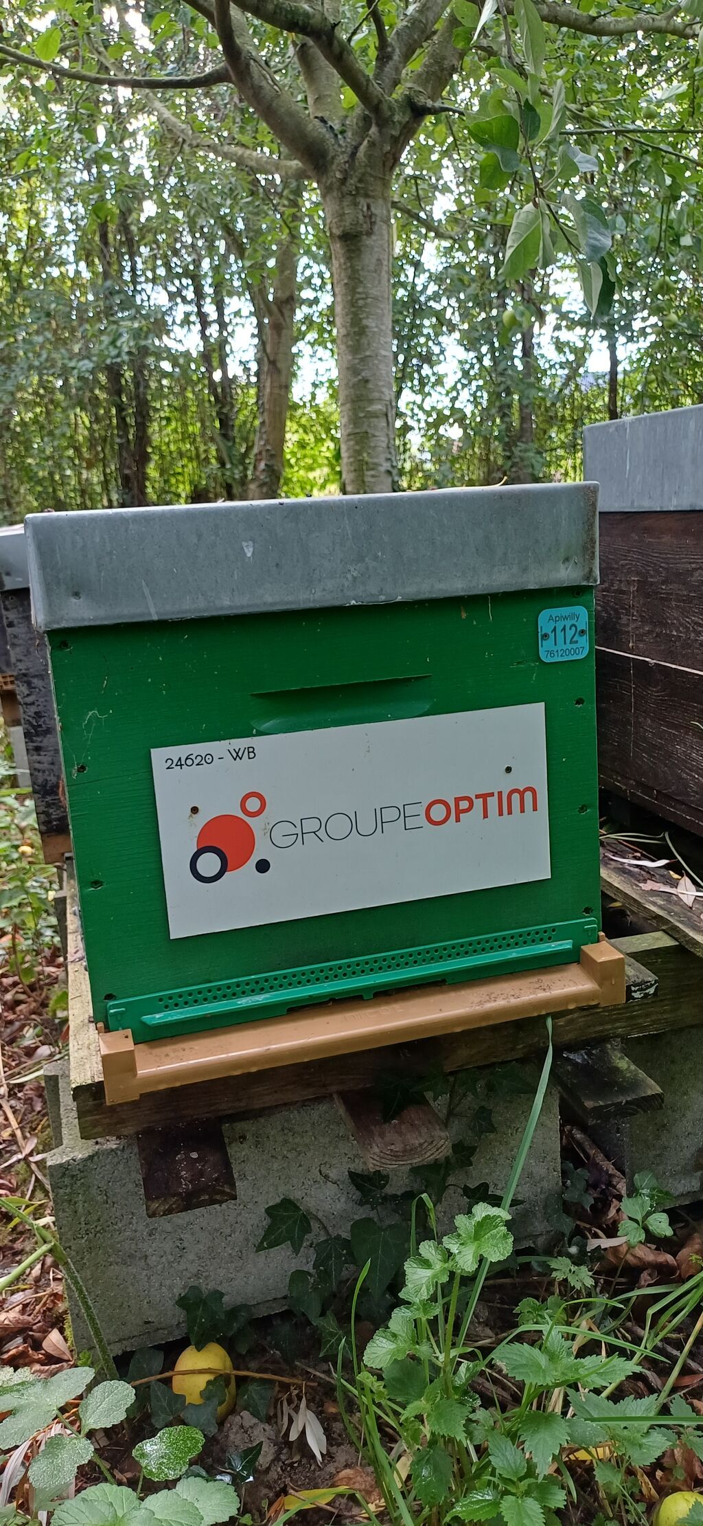 La ruche Groupe Optim