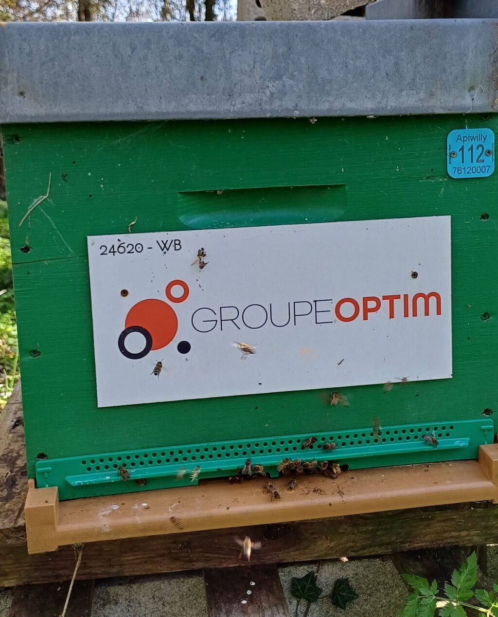 La ruche Groupe Optim 