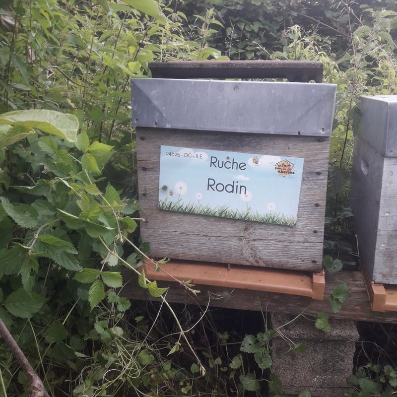 La ruche Rodin