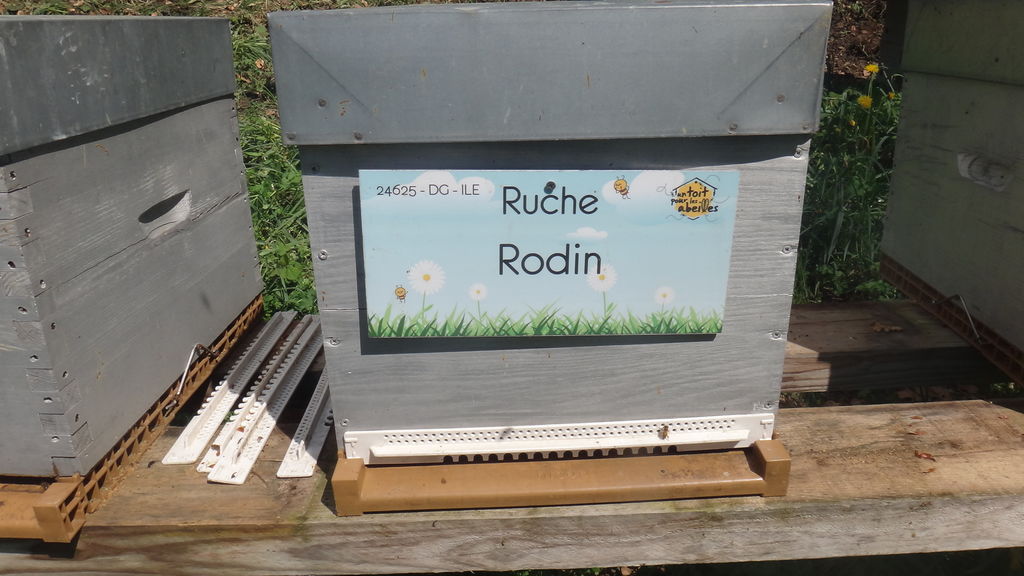 La ruche