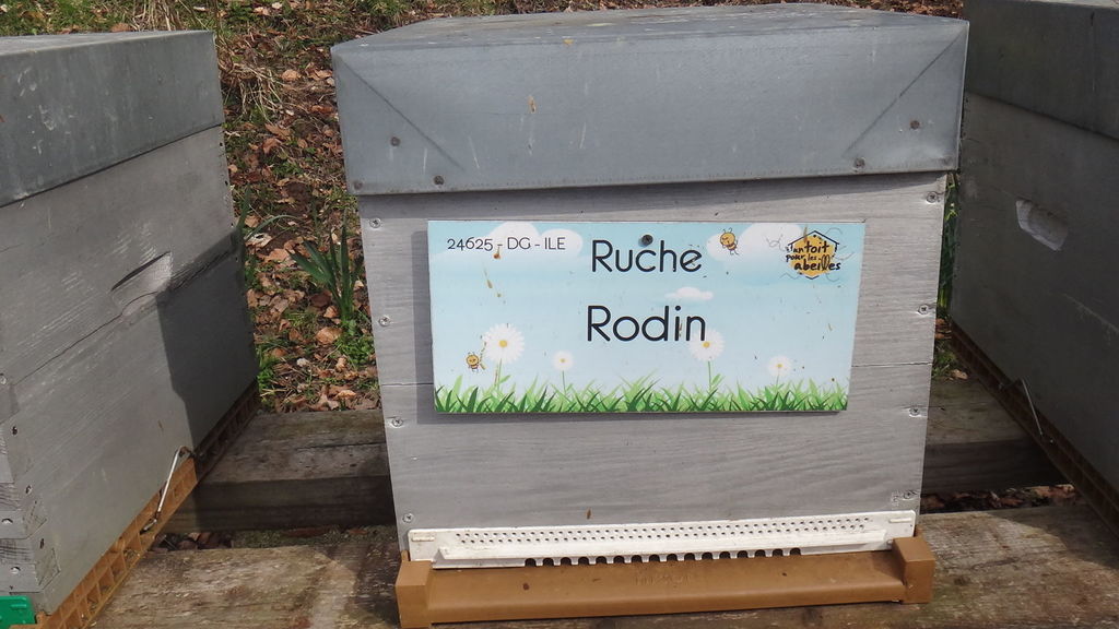 La ruche Rodin