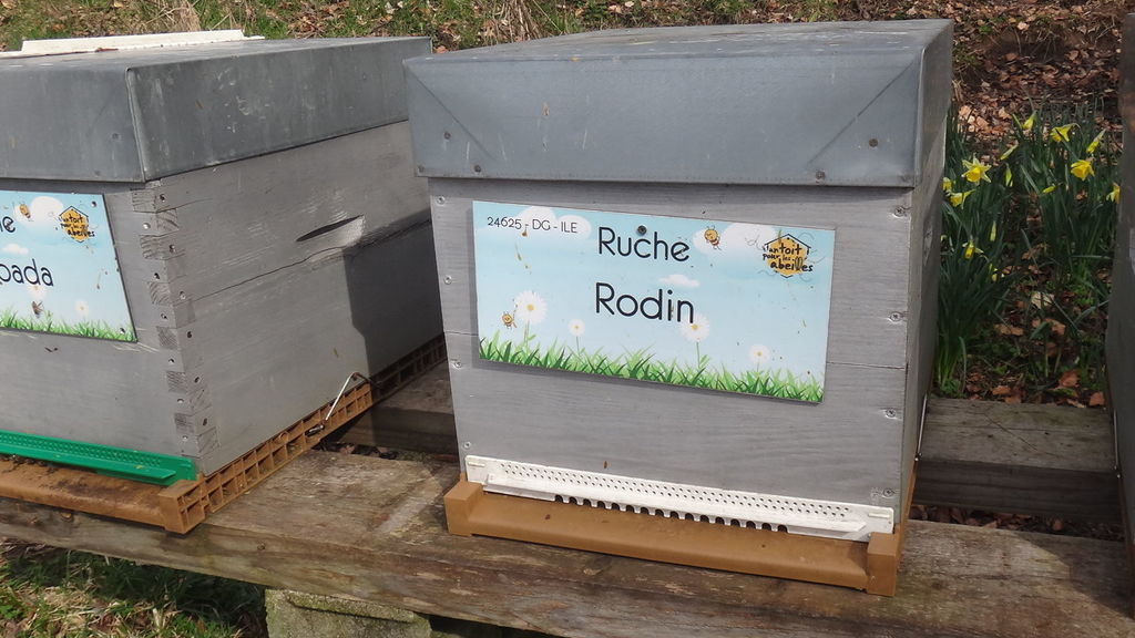 La ruche Rodin