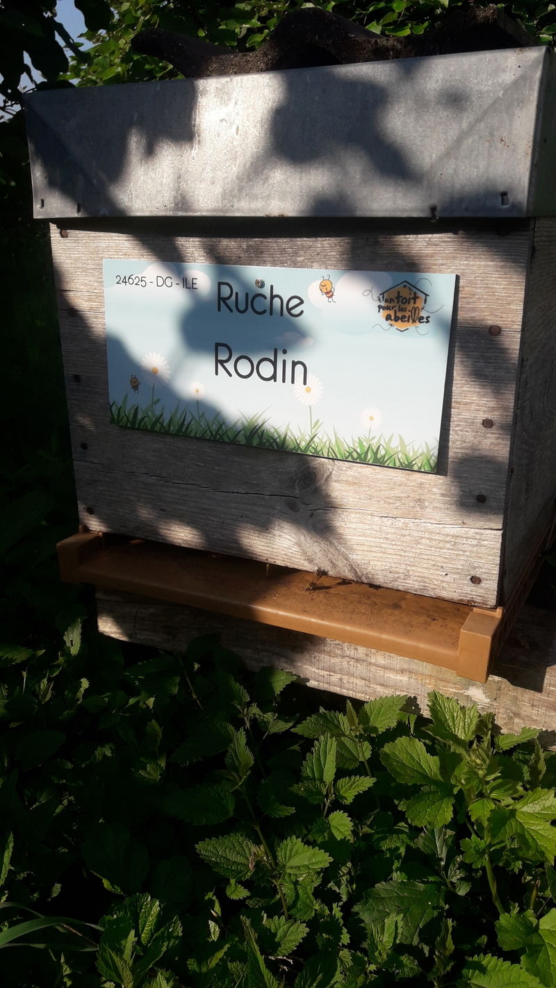 La ruche Rodin