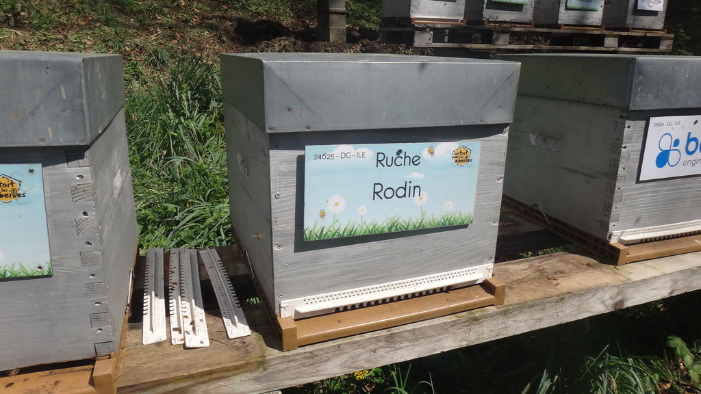 La ruche Rodin