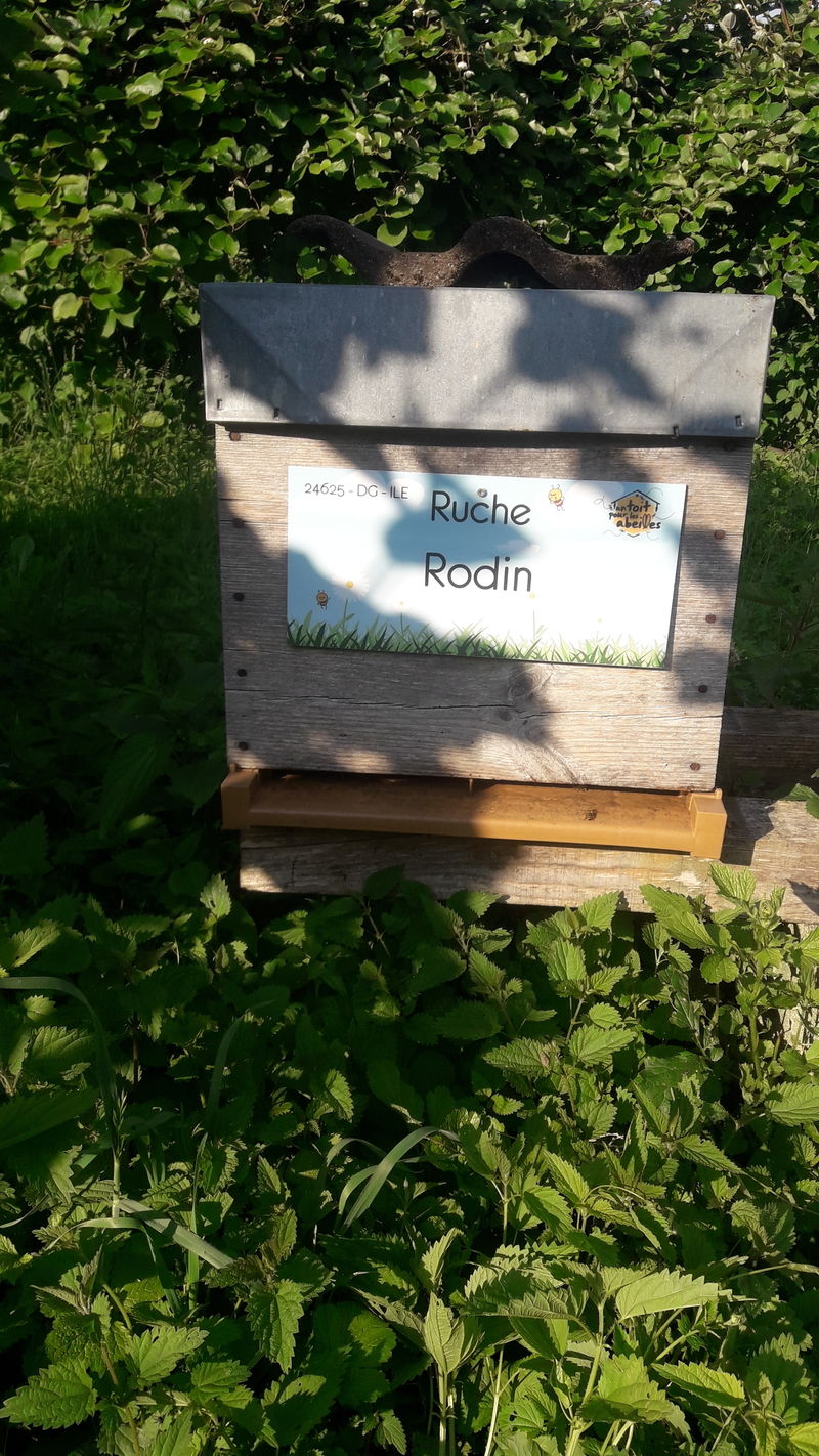 La ruche Rodin