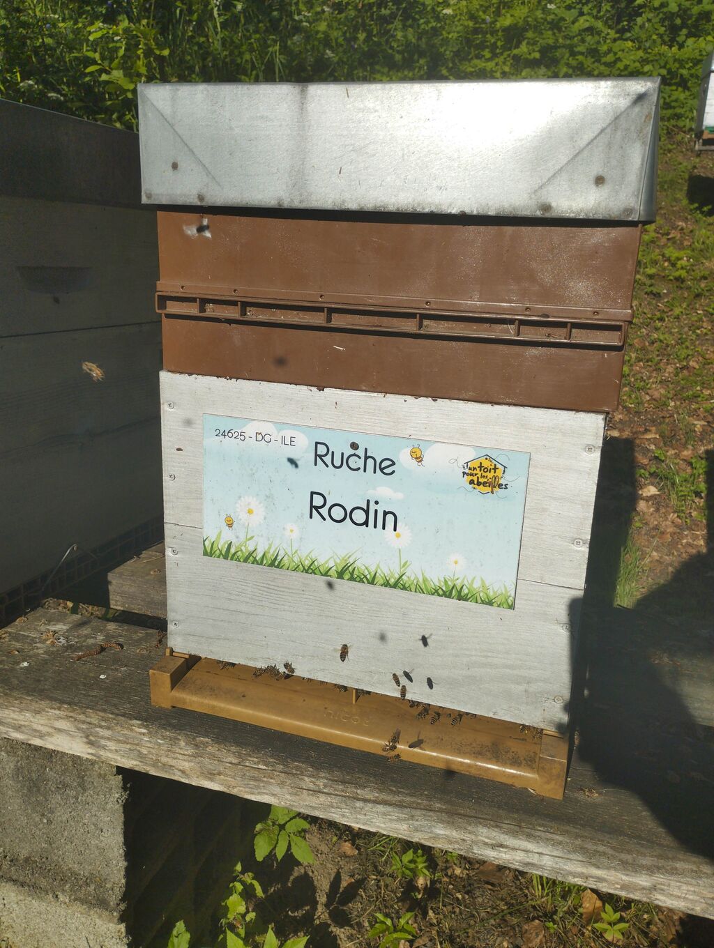 La ruche 