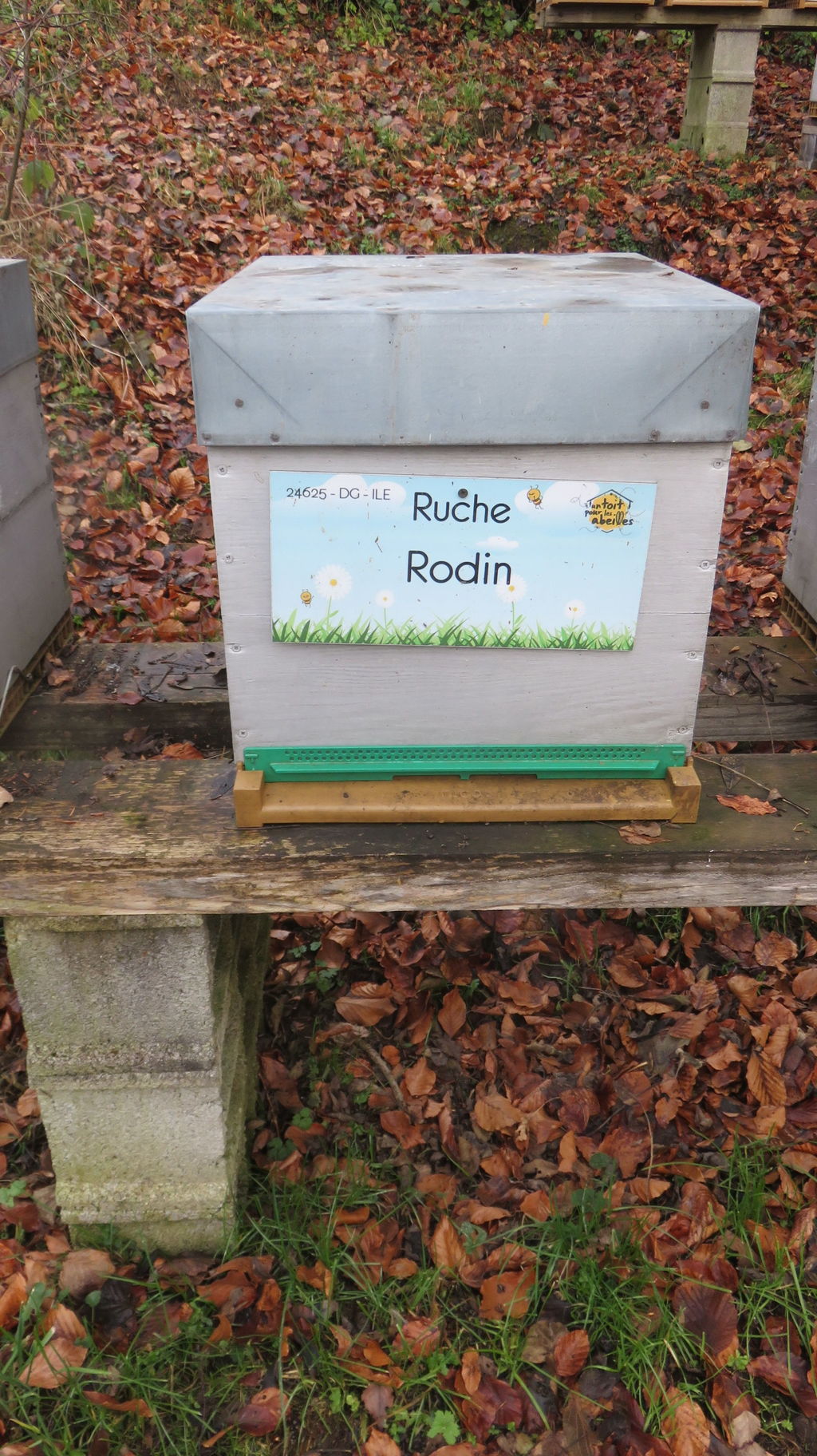 La ruche Rodin