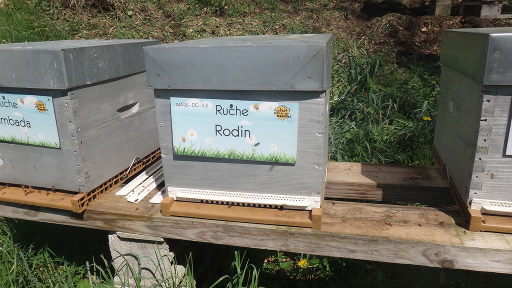 La ruche Rodin