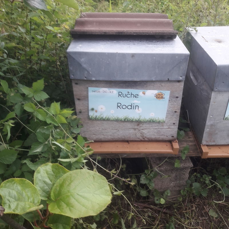 La ruche Rodin