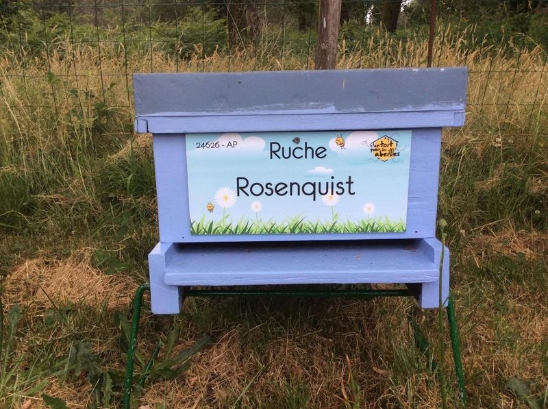 La ruche Rosenquist 