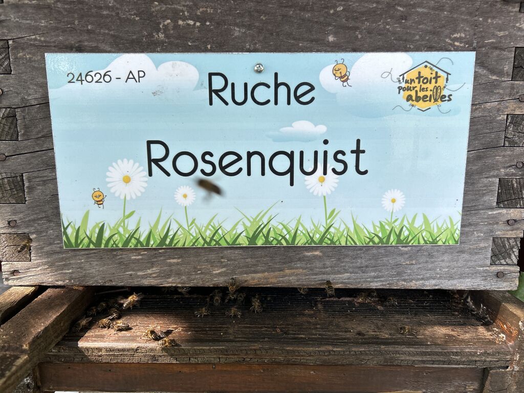 La ruche Rosenquist