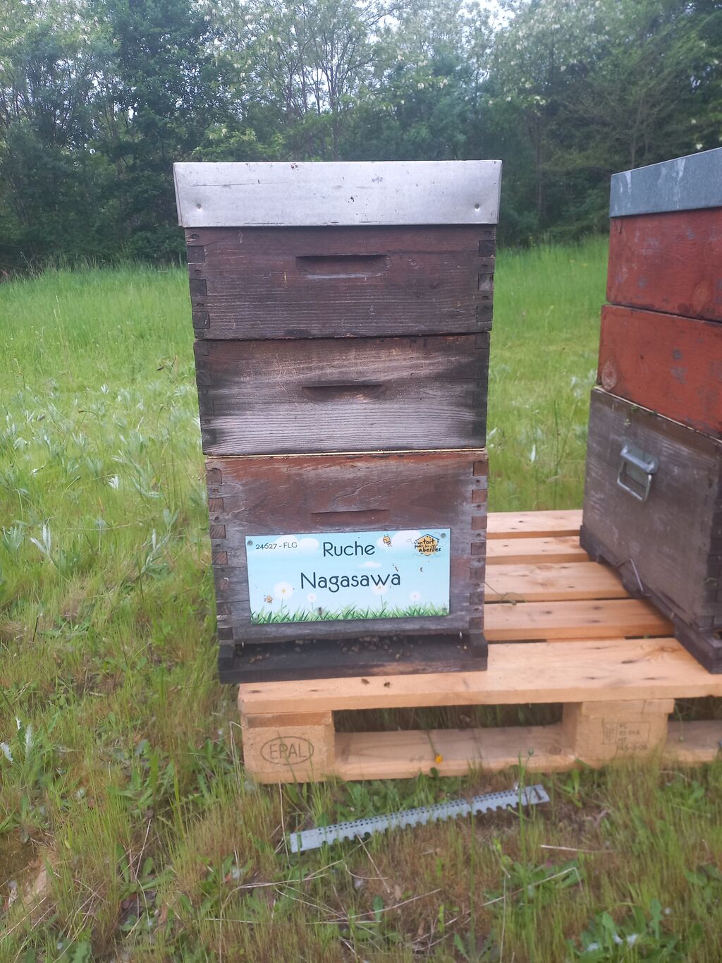 La ruche Nagasawa