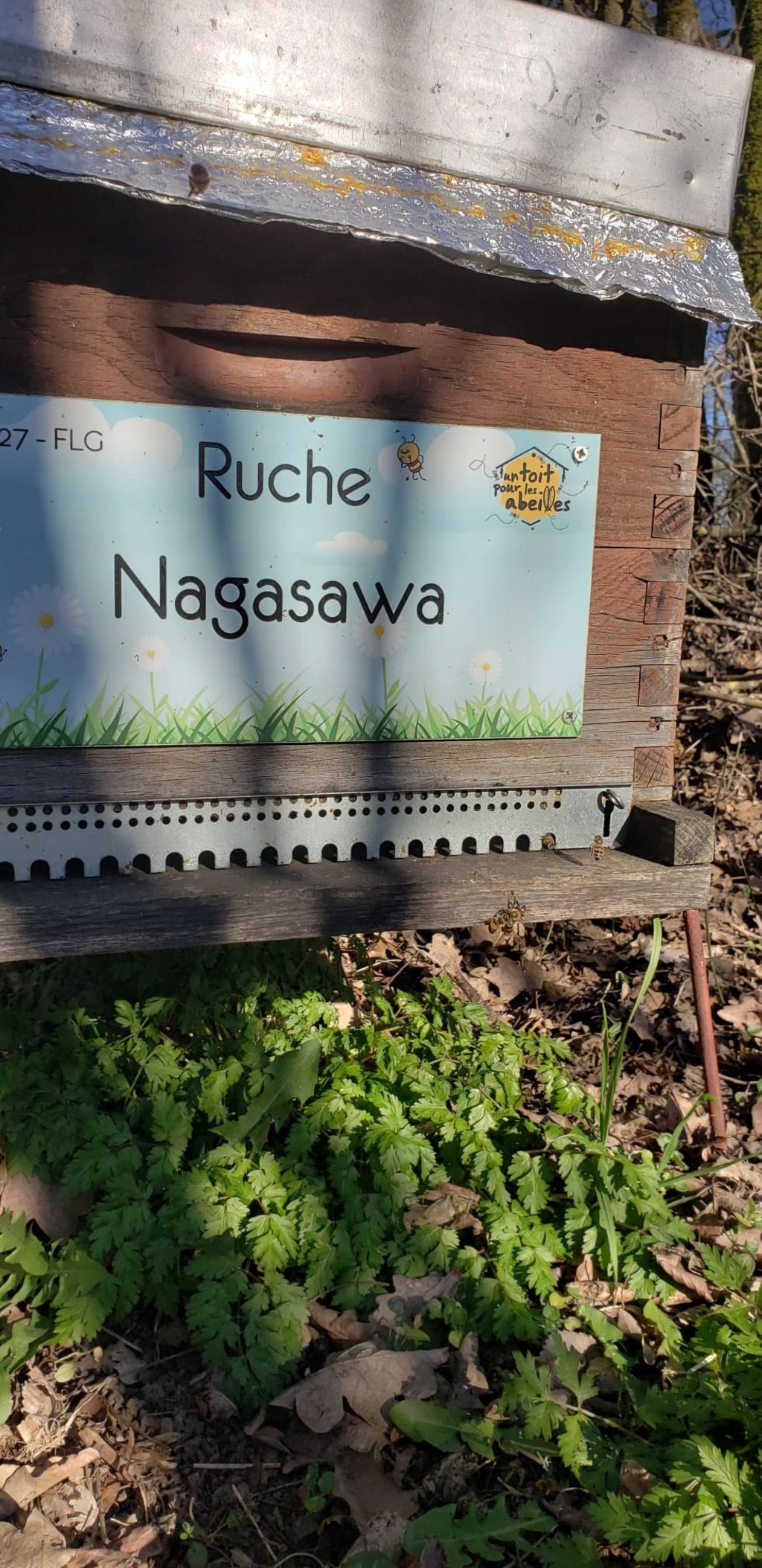 La ruche Nagasawa