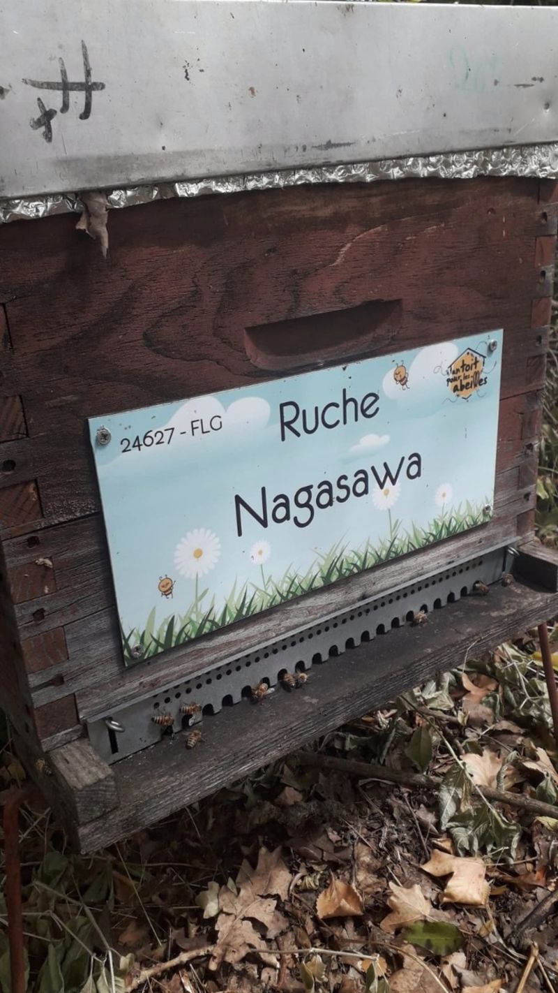 La ruche Nagasawa