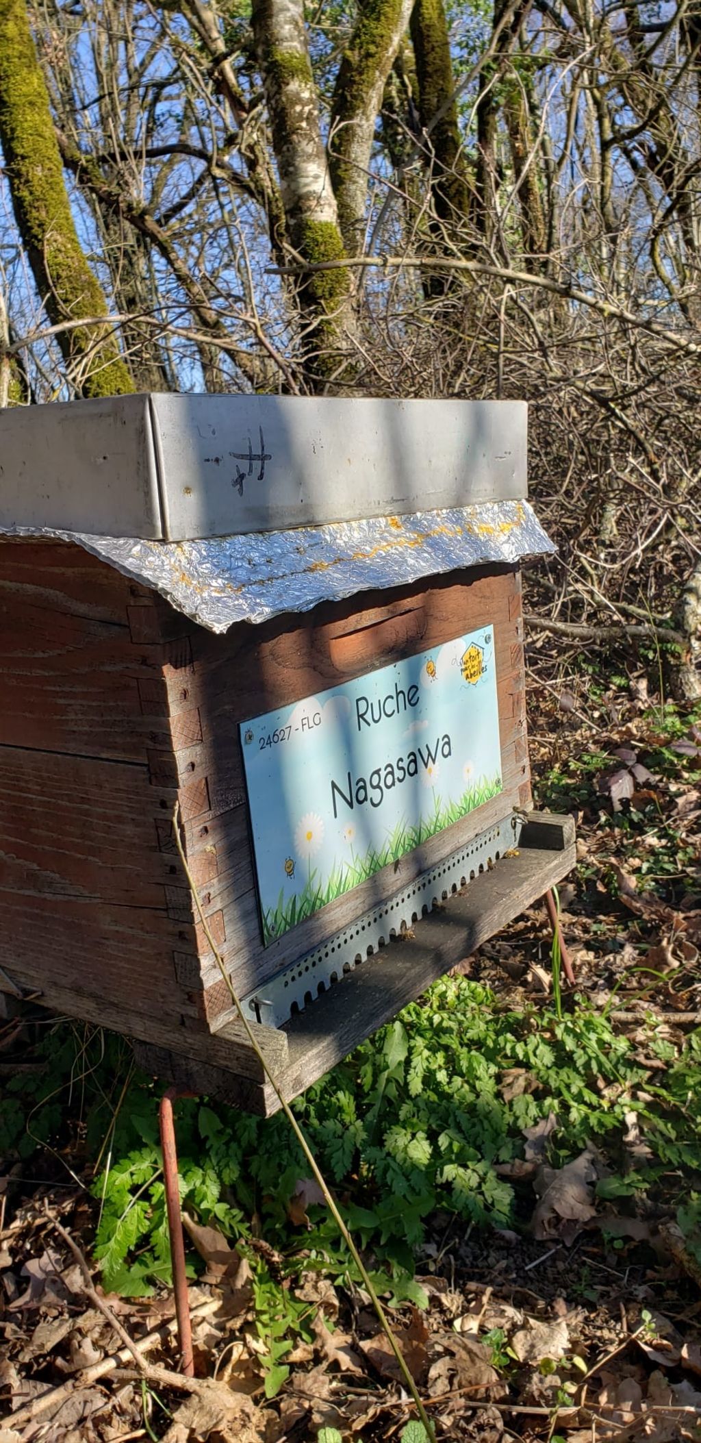 La ruche Nagasawa
