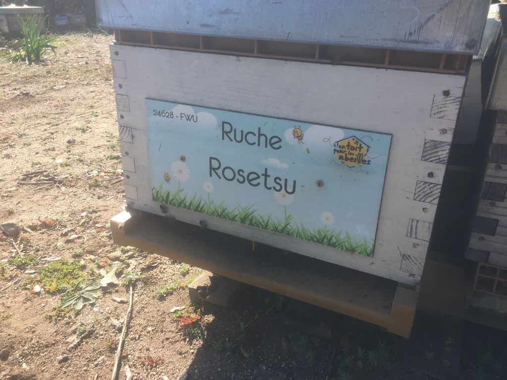 La ruche Rosetsu