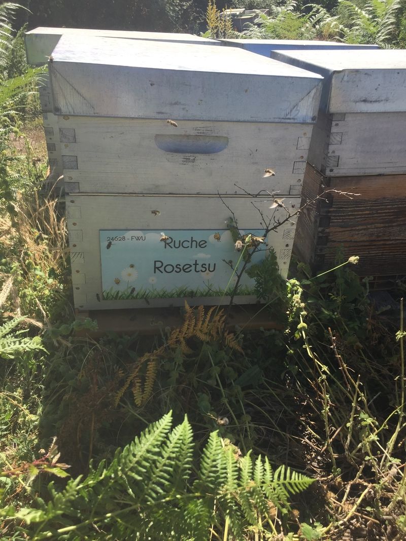 La ruche Rosetsu
