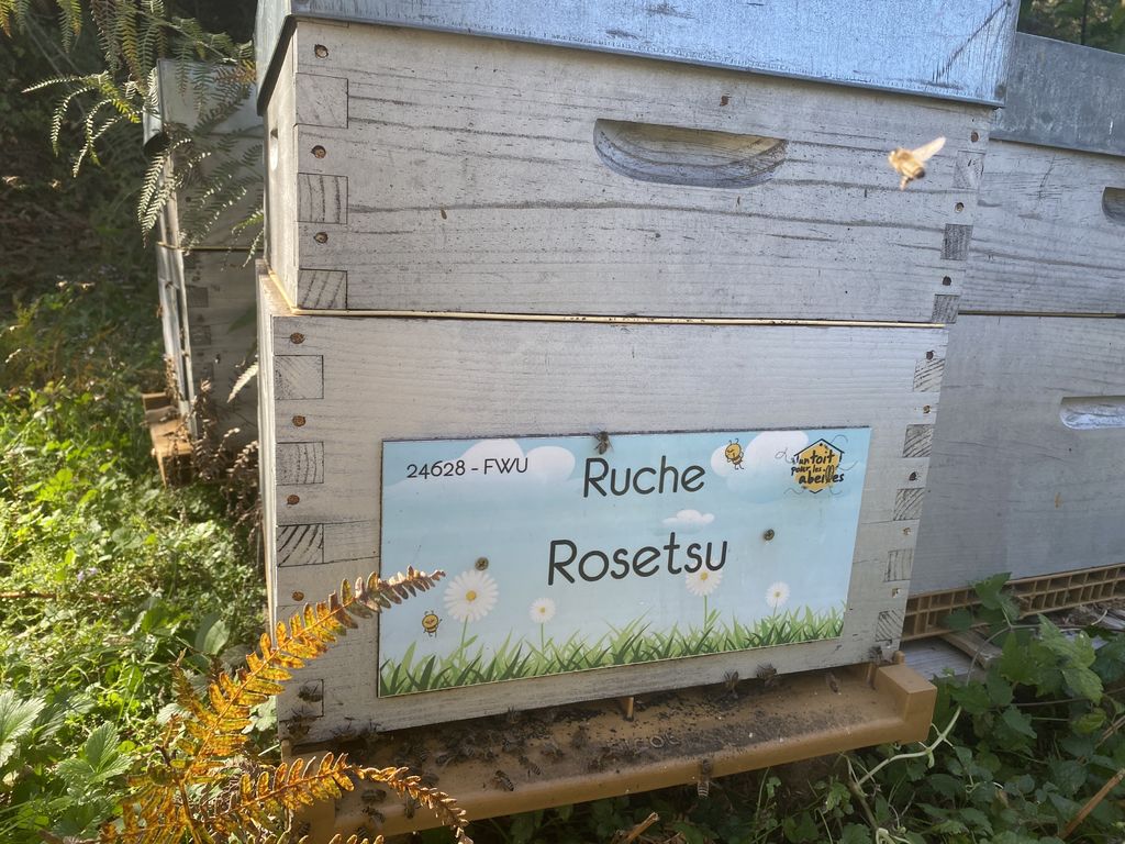 La ruche Rosetsu