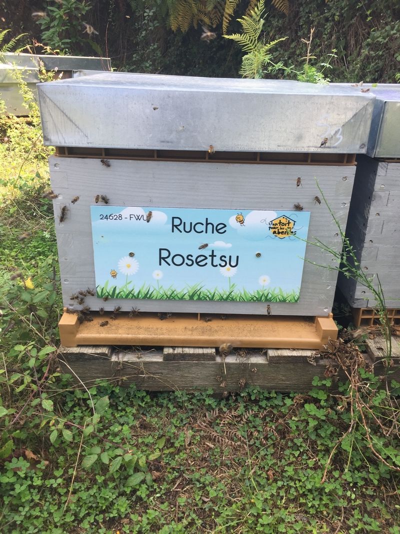 La ruche Rosetsu