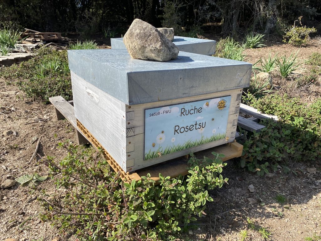 La ruche Rosetsu