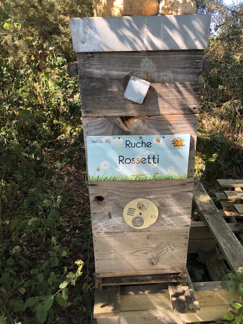 La ruche Rossetti