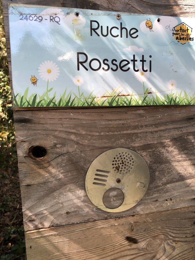 La ruche Rossetti