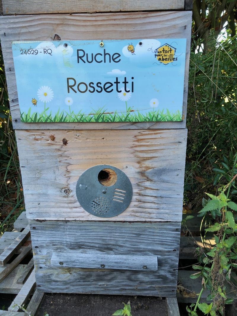 La ruche Rossetti