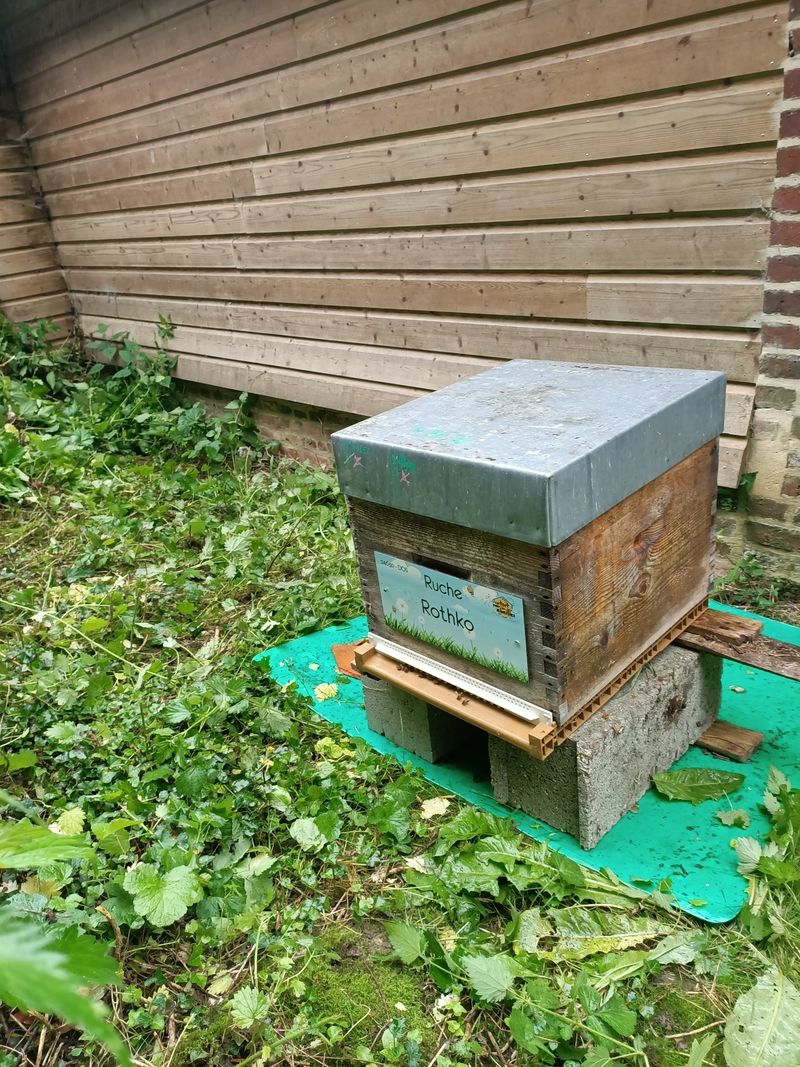 La ruche Rothko