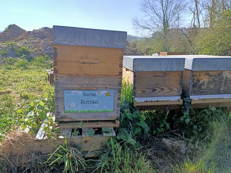 La ruche Rothko