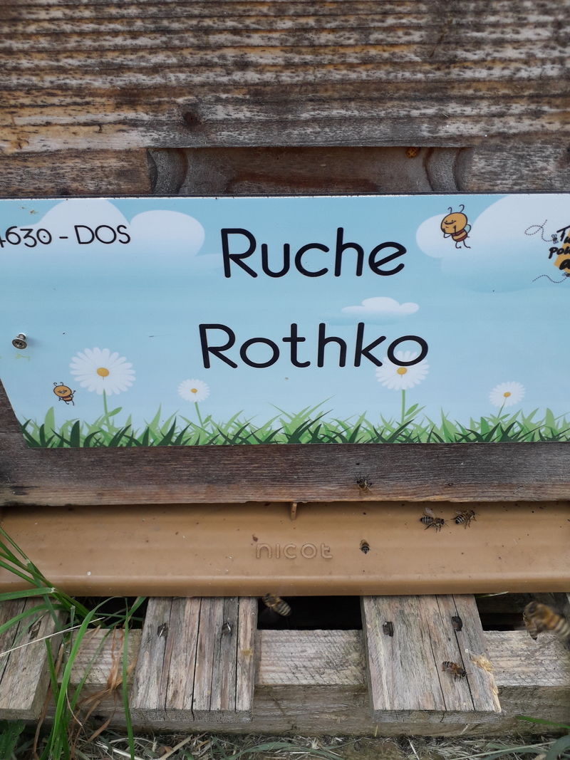 La ruche Rothko