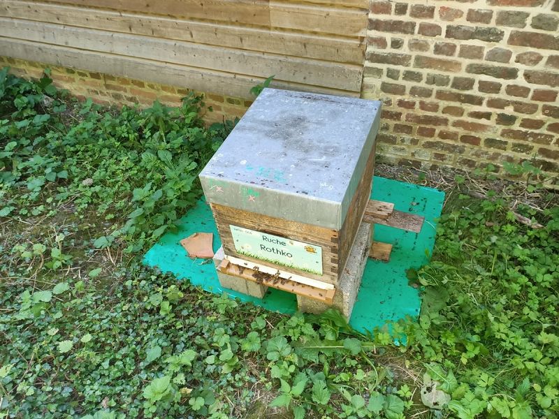 La ruche Rothko