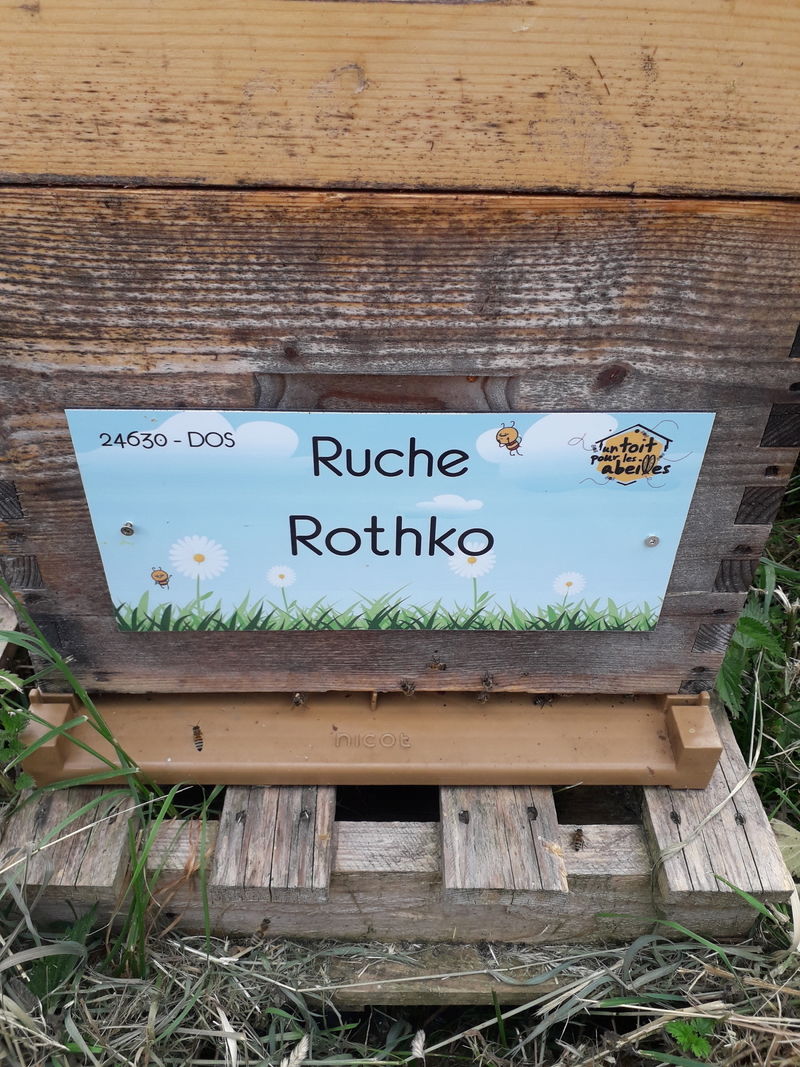 La ruche