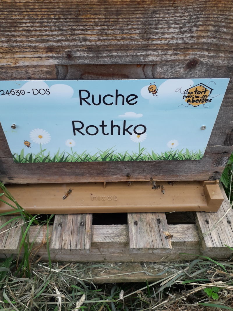 La ruche Rothko