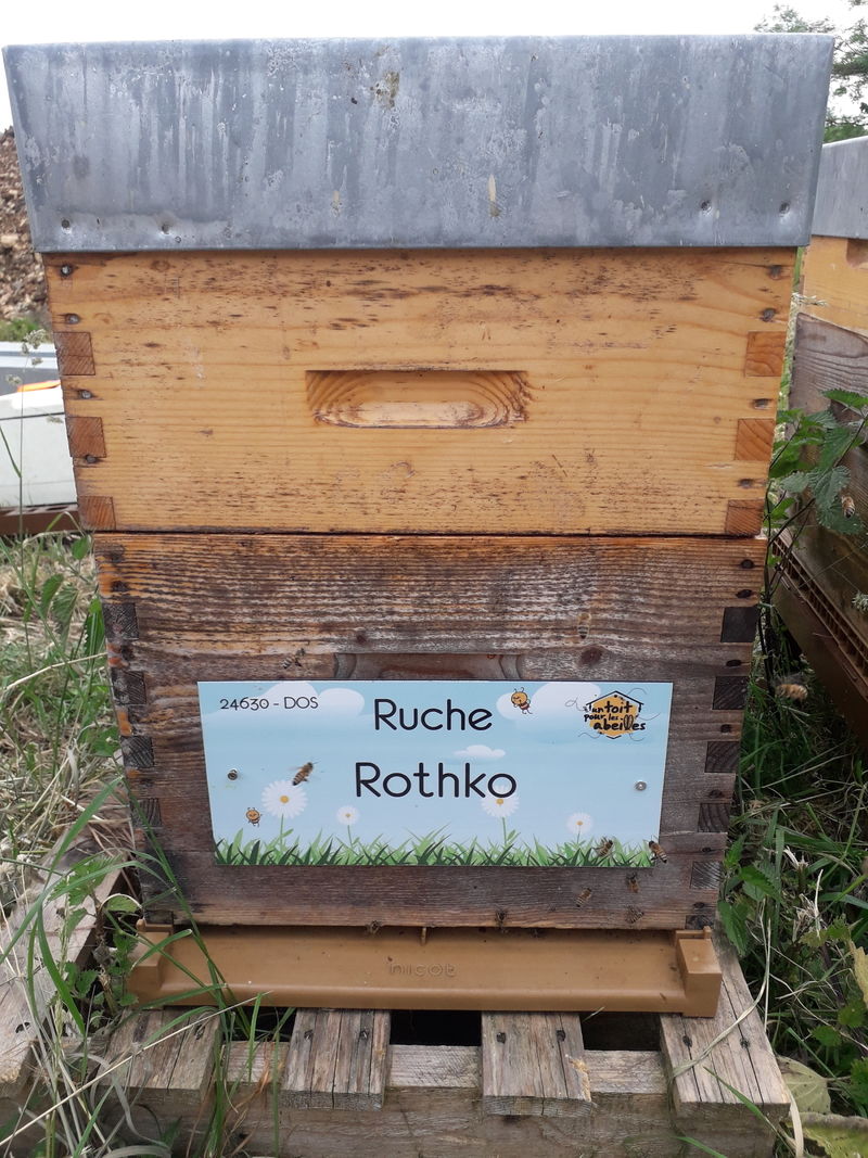 La ruche Rothko