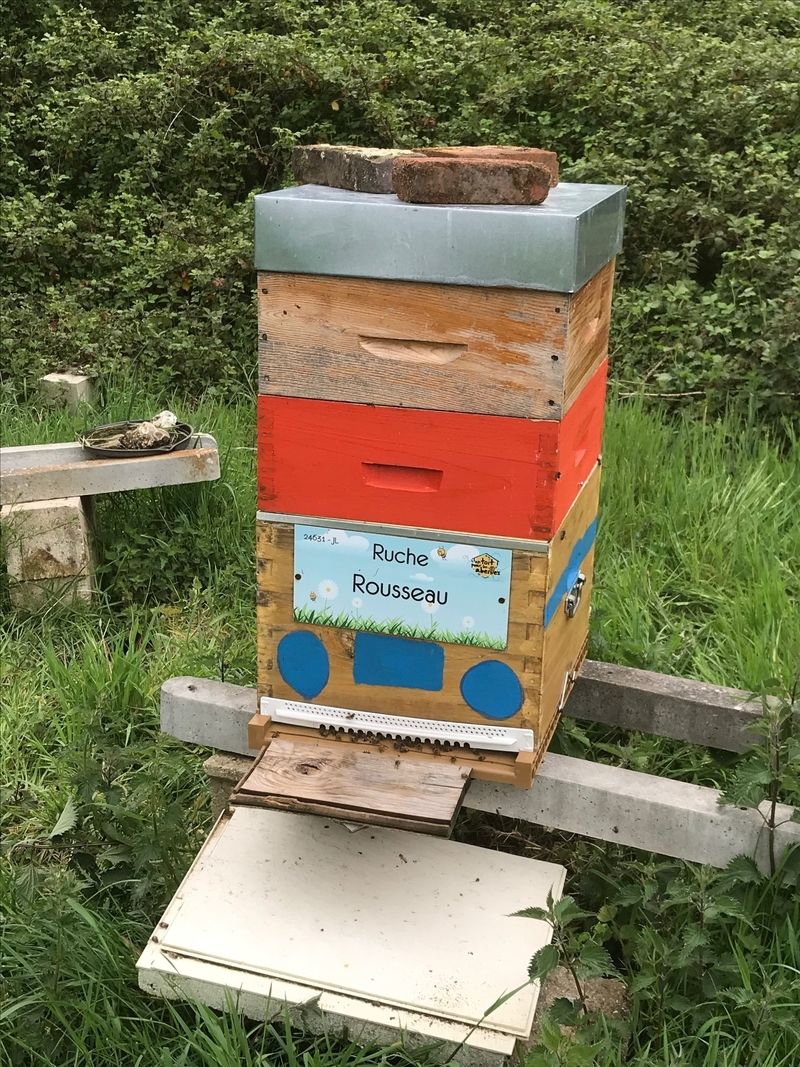 La ruche Rousseau