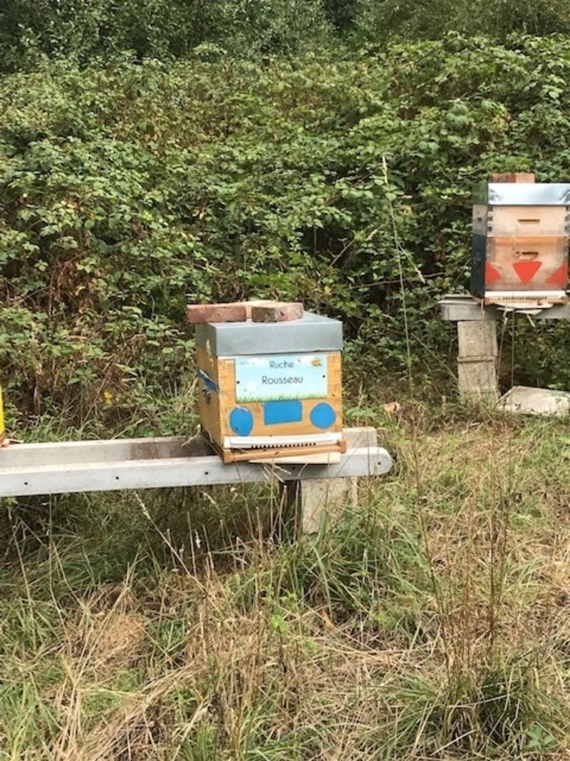 La ruche Rousseau