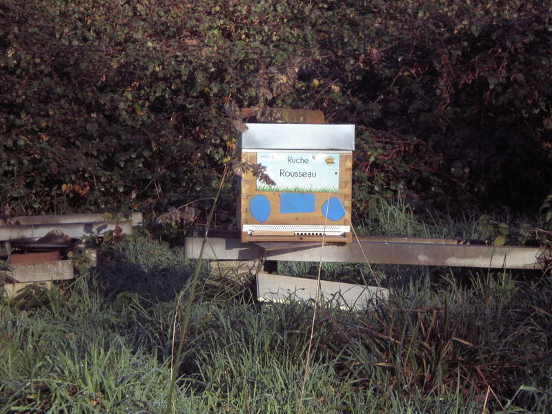 La ruche Rousseau